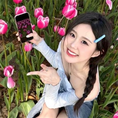战地情莺